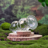 Glass Double Beaded Anal Butt Plug Anal Stretching Training Sex Toys